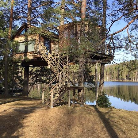Dukuri Treehouse Ciekursヴィラ エクステリア 写真