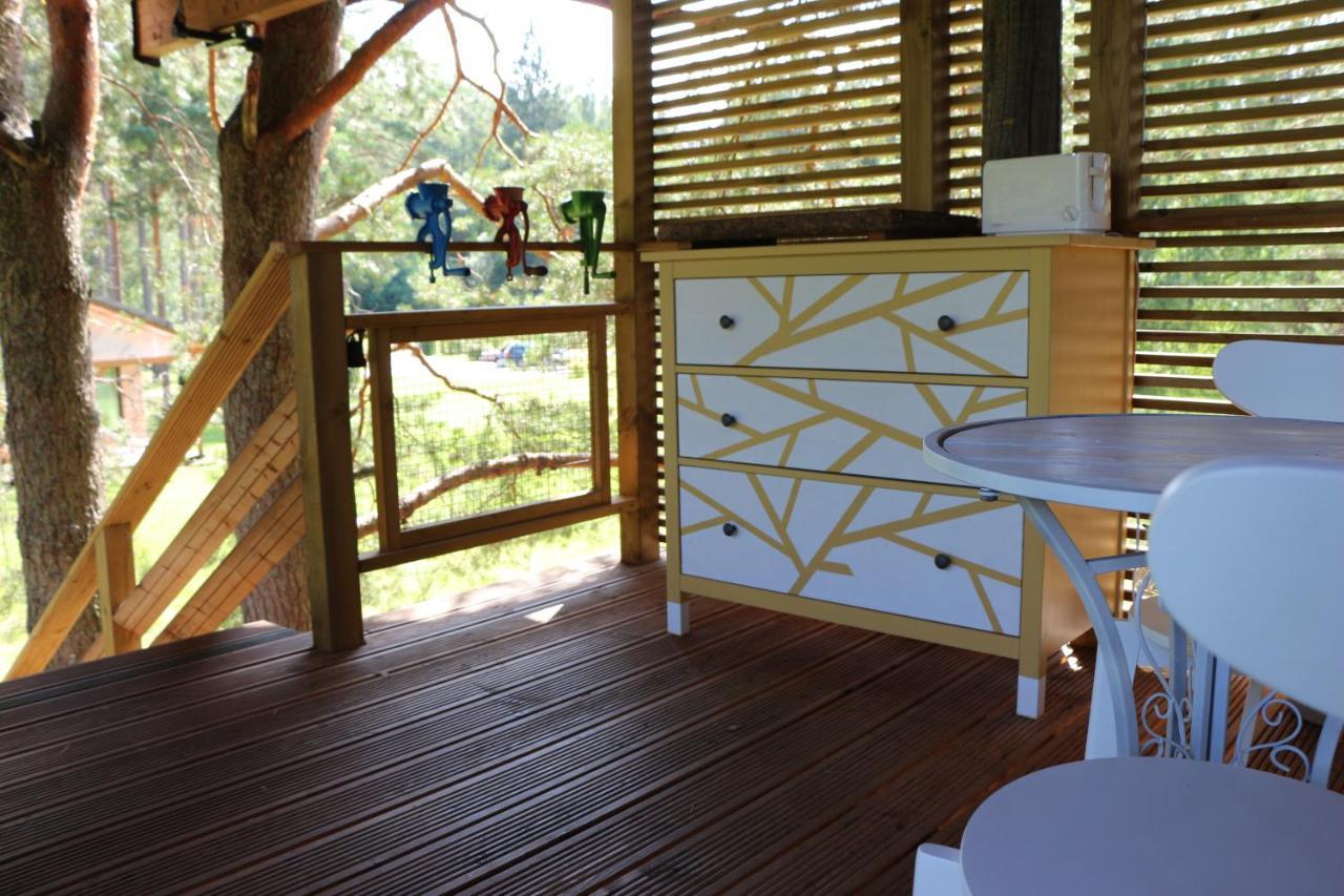 Dukuri Treehouse Ciekursヴィラ エクステリア 写真