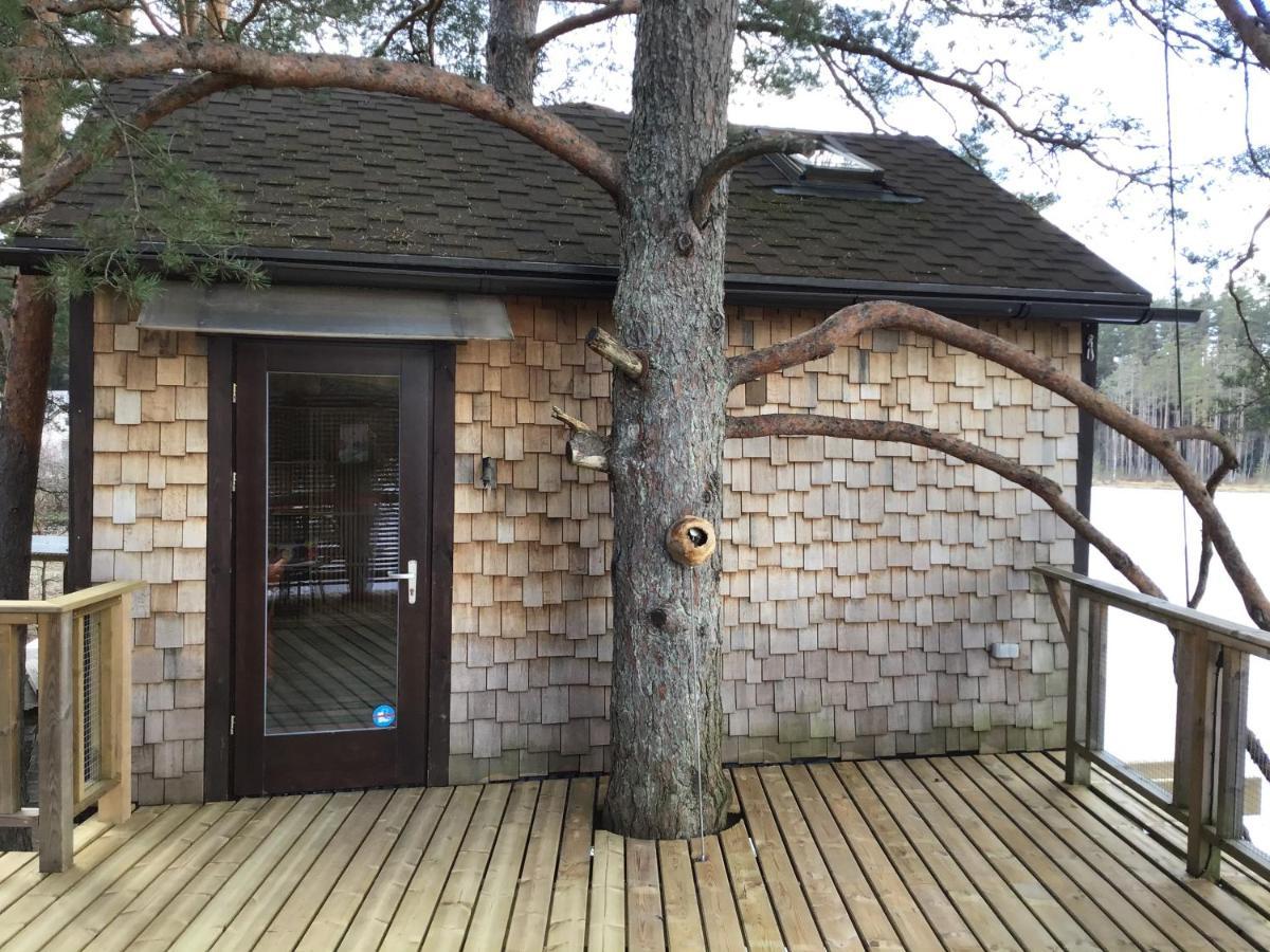 Dukuri Treehouse Ciekursヴィラ エクステリア 写真