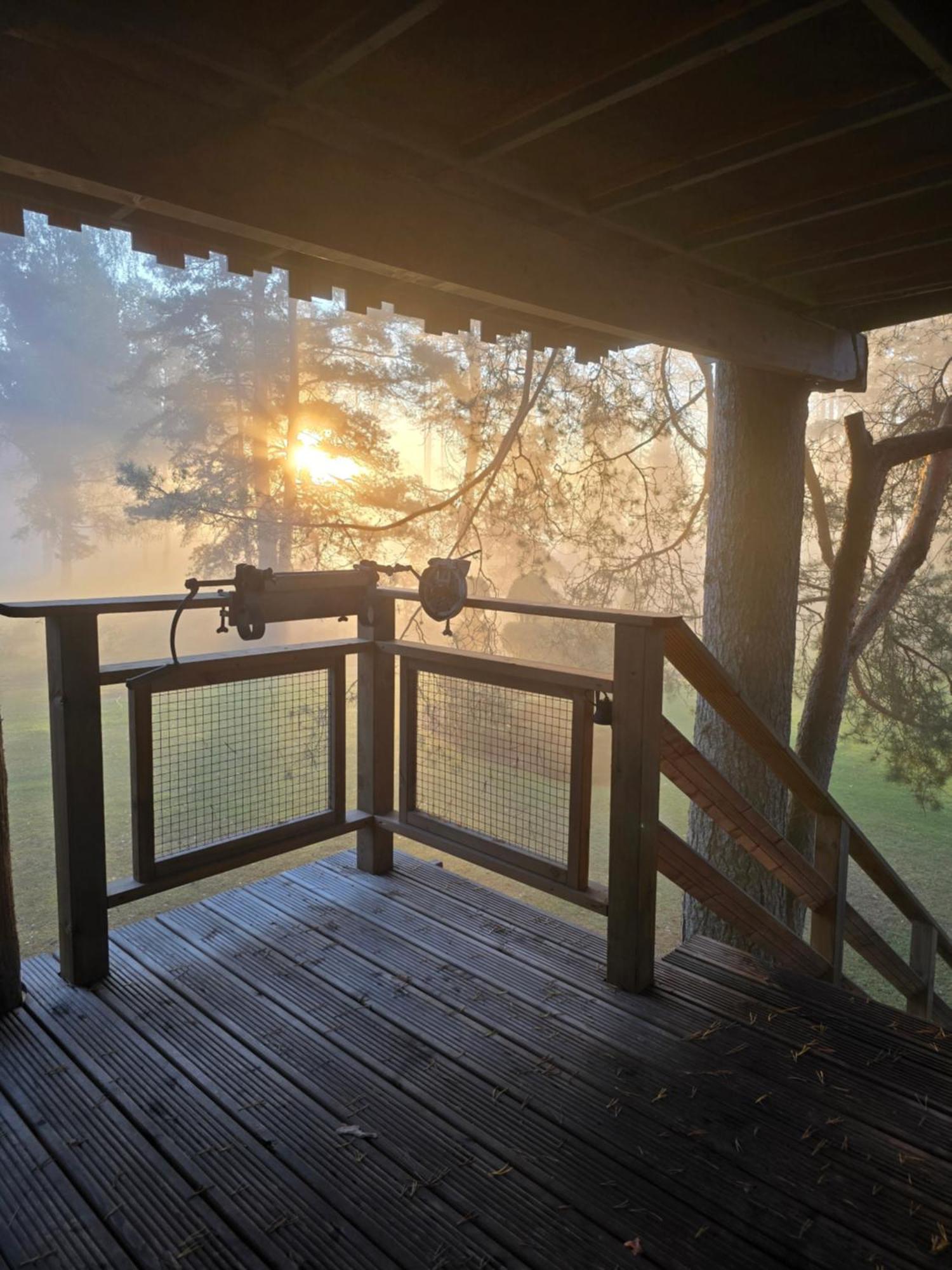 Dukuri Treehouse Ciekursヴィラ エクステリア 写真