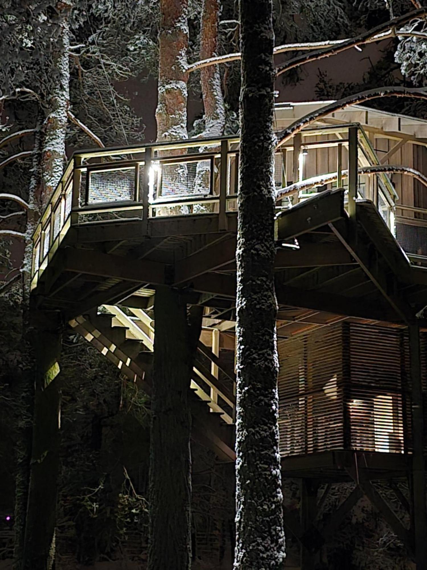 Dukuri Treehouse Ciekursヴィラ エクステリア 写真