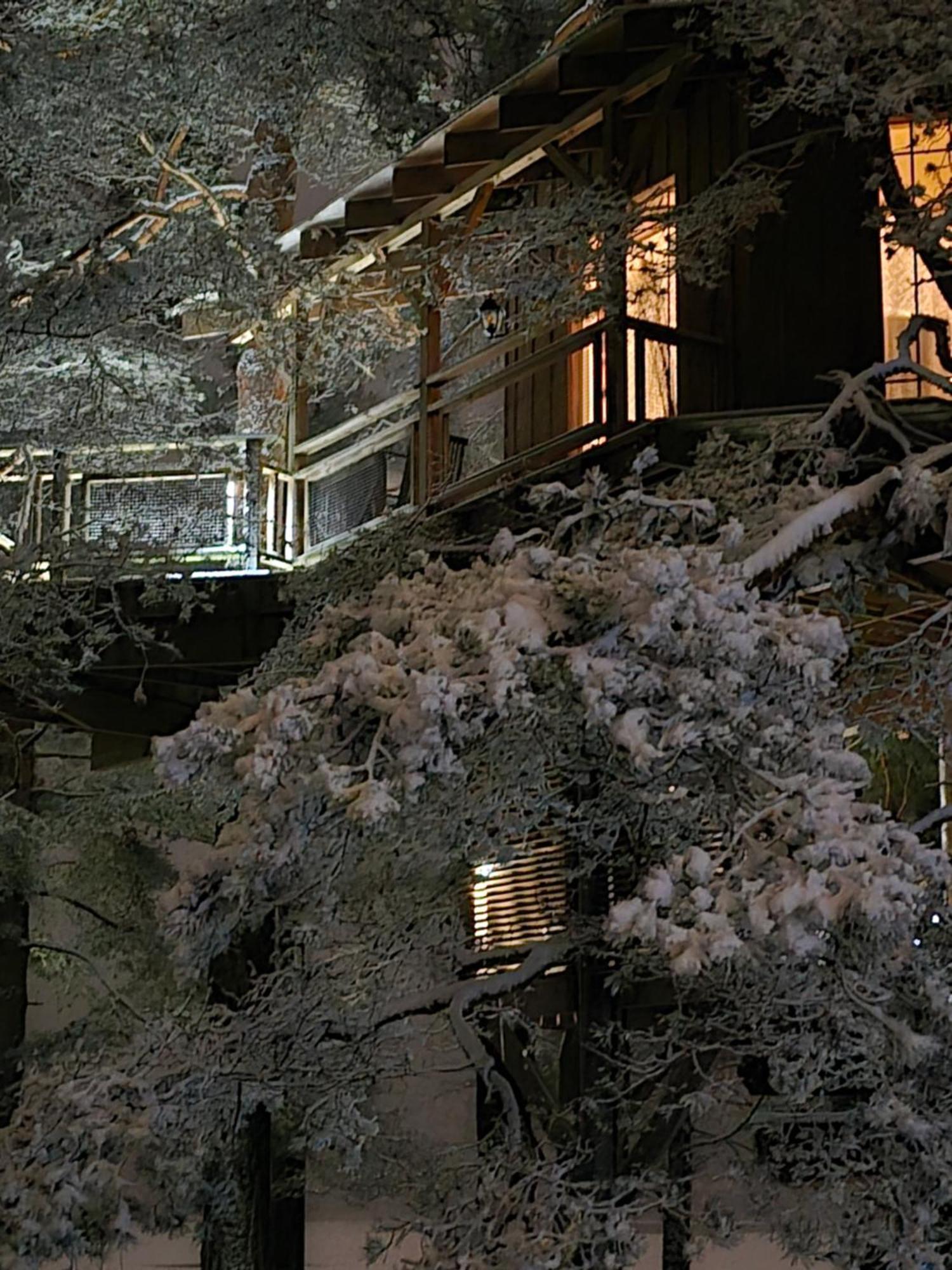Dukuri Treehouse Ciekursヴィラ エクステリア 写真