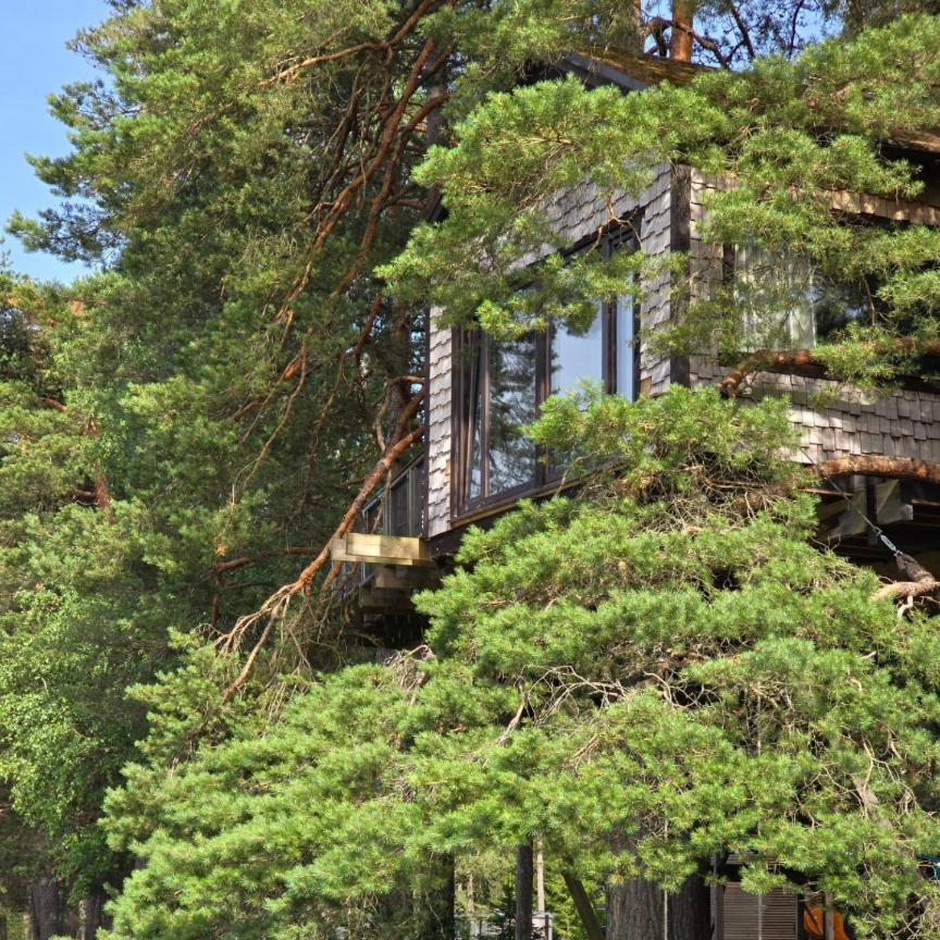 Dukuri Treehouse Ciekursヴィラ エクステリア 写真