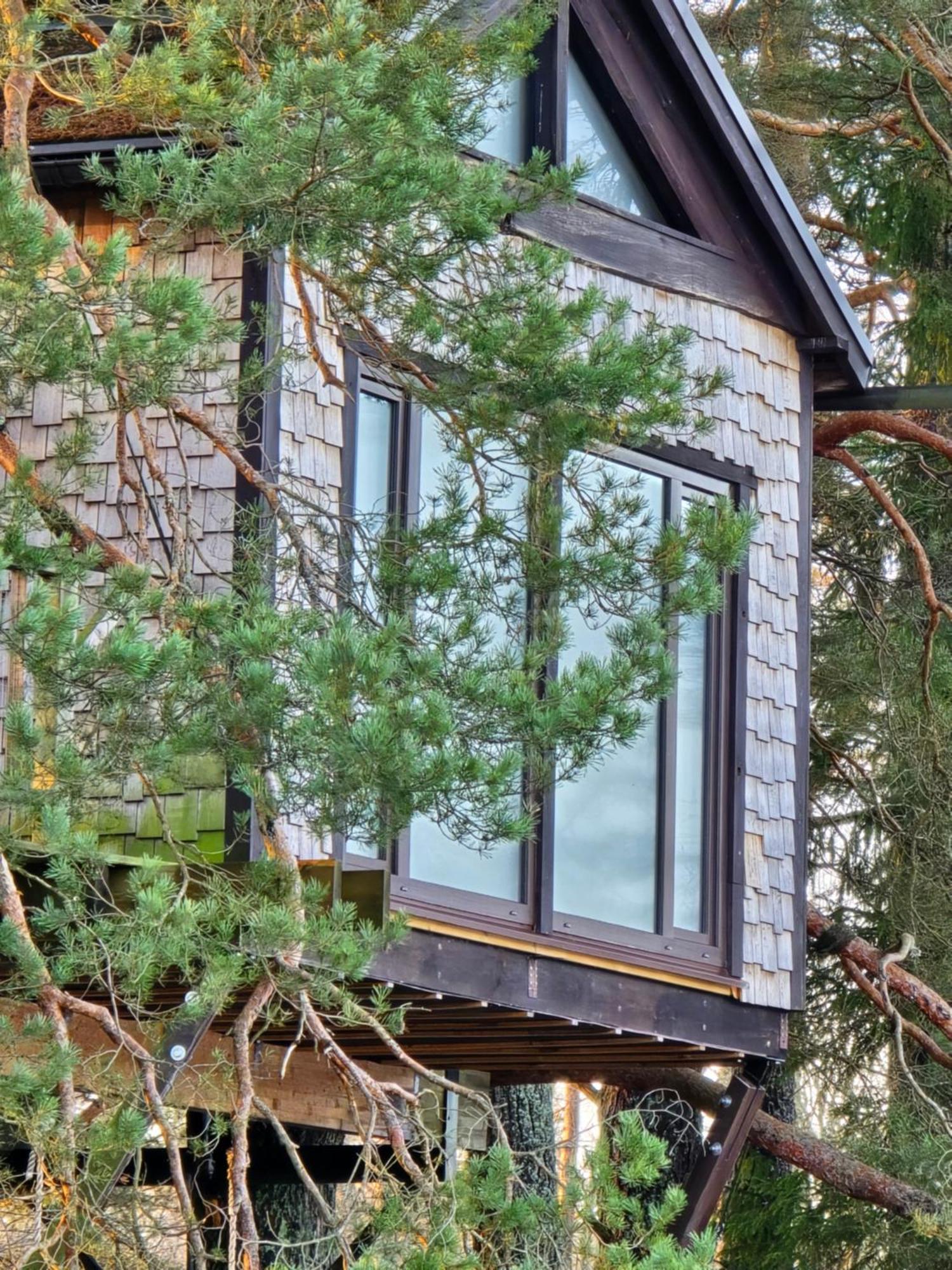 Dukuri Treehouse Ciekursヴィラ エクステリア 写真