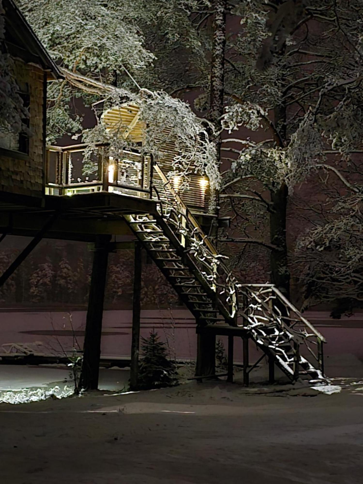 Dukuri Treehouse Ciekursヴィラ エクステリア 写真