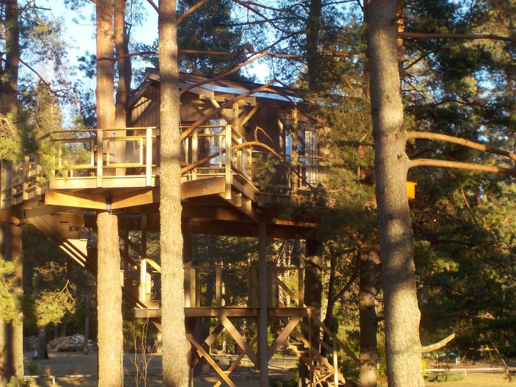 Dukuri Treehouse Ciekursヴィラ エクステリア 写真