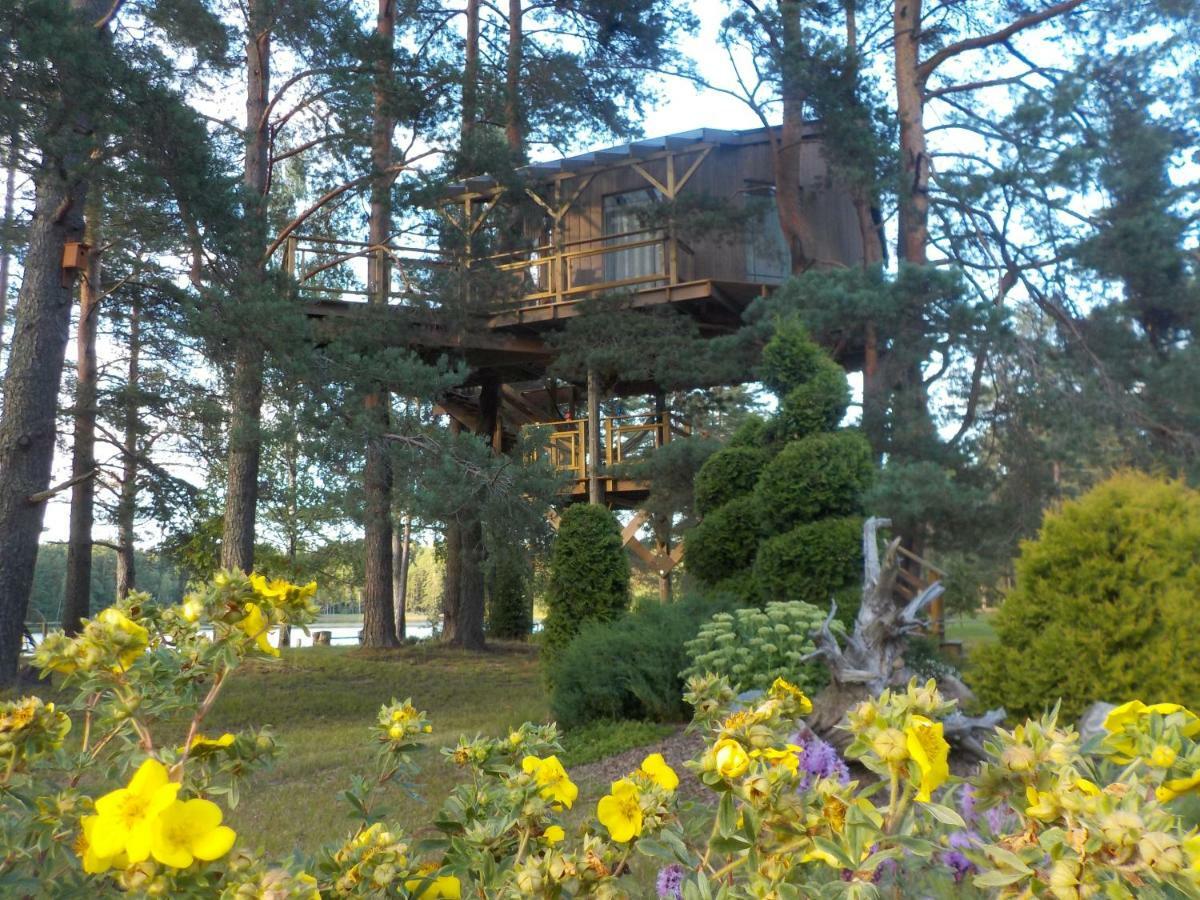 Dukuri Treehouse Ciekursヴィラ エクステリア 写真